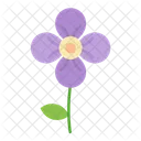 Background Purple Beautiful Icon
