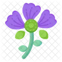 Violet Barbatus  Icon