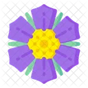 Violet Cosmos  Icon
