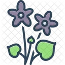 Violet Flowers  Icon