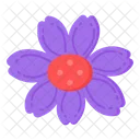 Violet Poppy  Icon