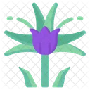 Violet Tulip  Icon