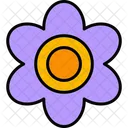 Violeta  Icono