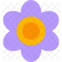 Violeta  Icono