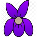 Violeta Roxo Flor Icon