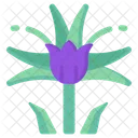 Tulipán violeta  Icon