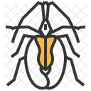Violin Beetle Insect Icon