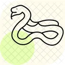 Vipere Du Gabon Vipere Du Gabon Reptile Icône