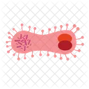 Infusorium Microbe Cell Icon