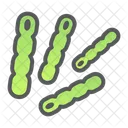 Virus Bacteria Infection Icon