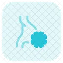 Virus Estomacal Saude Estomacal Estomago Icon