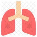 Lungs Lung Pneumonia Icon