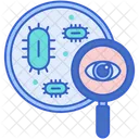 Virus Inspection Safety Inspection Virus Search Icon