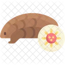 Pangolin Icono