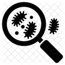 Virus scan  Icon