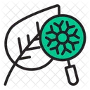 Virus Search Bug Tracking Icon