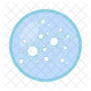 Viruses In Petri Dish Petri Dish Icon