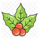 Cerejas De Natal Visco Frutas Vermelhas Icon