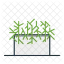 Ilustracao Vetorial De Plantas Perfeita Para Seu Site Aplicativo Ou Conteudo Ícone