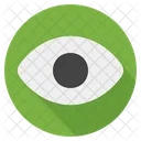 Visibility Eye View Icon
