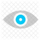 Vision Eye Biometric Icon