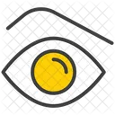 Vision Eye View Icon