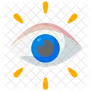 Vision  Icon