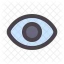 Vision View Eye Icon