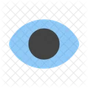 Vision View Visible Icon
