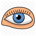 Visual Organ Optic Organ Seeing Organ Icon