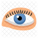 Visual Organ Optic Organ Seeing Organ Icon