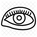 Visual Organ Optic Organ Seeing Organ Icon