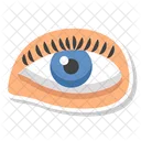 Visual Organ Optic Organ Seeing Organ Icon