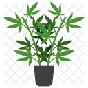 Vitex Potted Plant  Icon