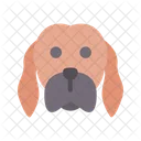 Vizsla  Icon