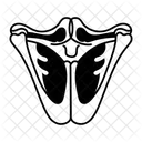 Vocal Cord Larynx Glottis Icon