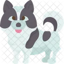 Você é um cachorro?  Ícone