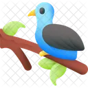 Vogel Tier Natur Symbol