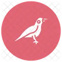 Vogel Krahe Fliege Symbol