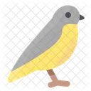 Fruhling Vogel Tier Symbol