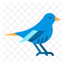Vogel Tags Haustier Symbol