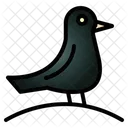 Vogel Fruhling Tier Symbol