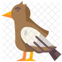 Vogel  Symbol
