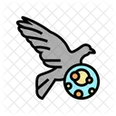 Vogelpsittakose  Symbol