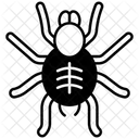 Vogelspinne Insekt Kafer Symbol