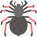 Vogelspinne Pelzig Tierreich Symbol