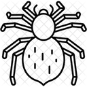 Vogelspinne Pelzig Tierreich Symbol