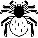 Vogelspinne Pelzig Tierreich Symbol