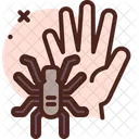 Tarantel  Symbol