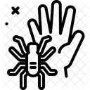 Vogelspinne Spinne Insekt Symbol